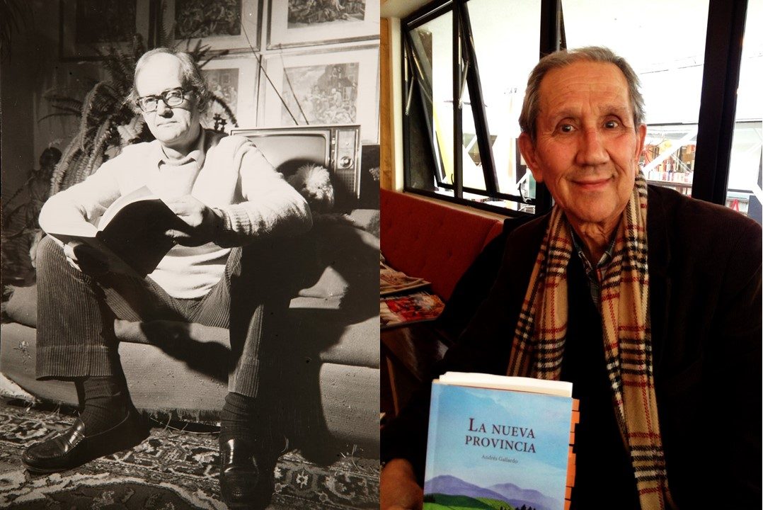 El eriazo y presuntuoso Chile - por Antonia Torres Agüero - Revista ...